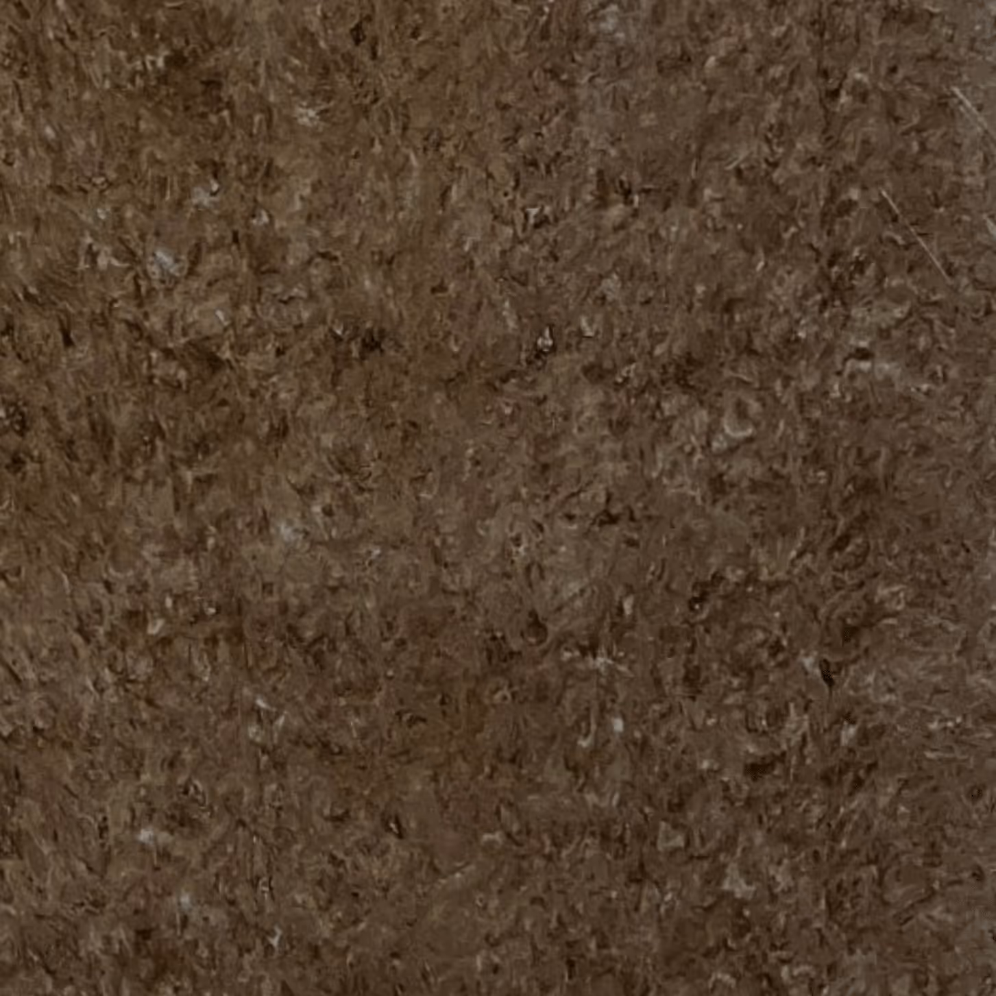 image of special promotions (sticker design) for an ecommerce