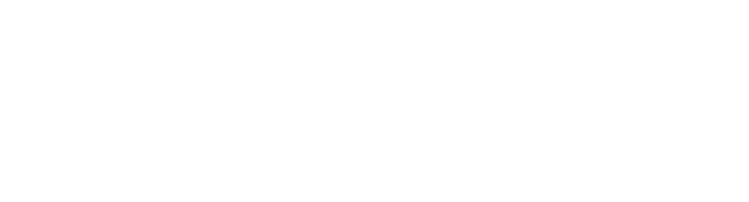 Nimble Logo