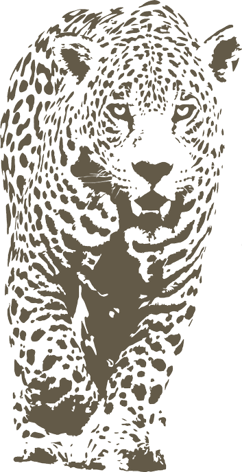 Journey with Jaguars icon