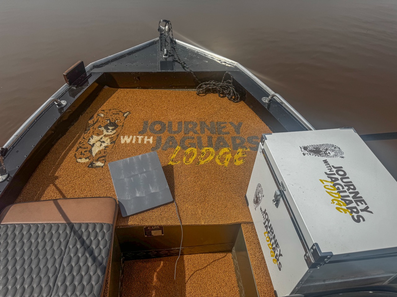 jaguar attacking giant river otters