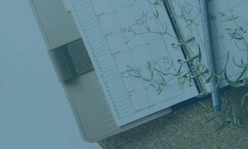 Open planner with a calendar page, a pen, a ruler, and green plant stems on a cork surface.
