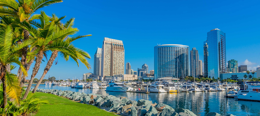 San Diego waterfront with palm trees and city buildings