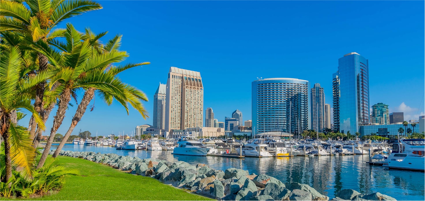 Palm trees and skyscrapers in downtown San Diego