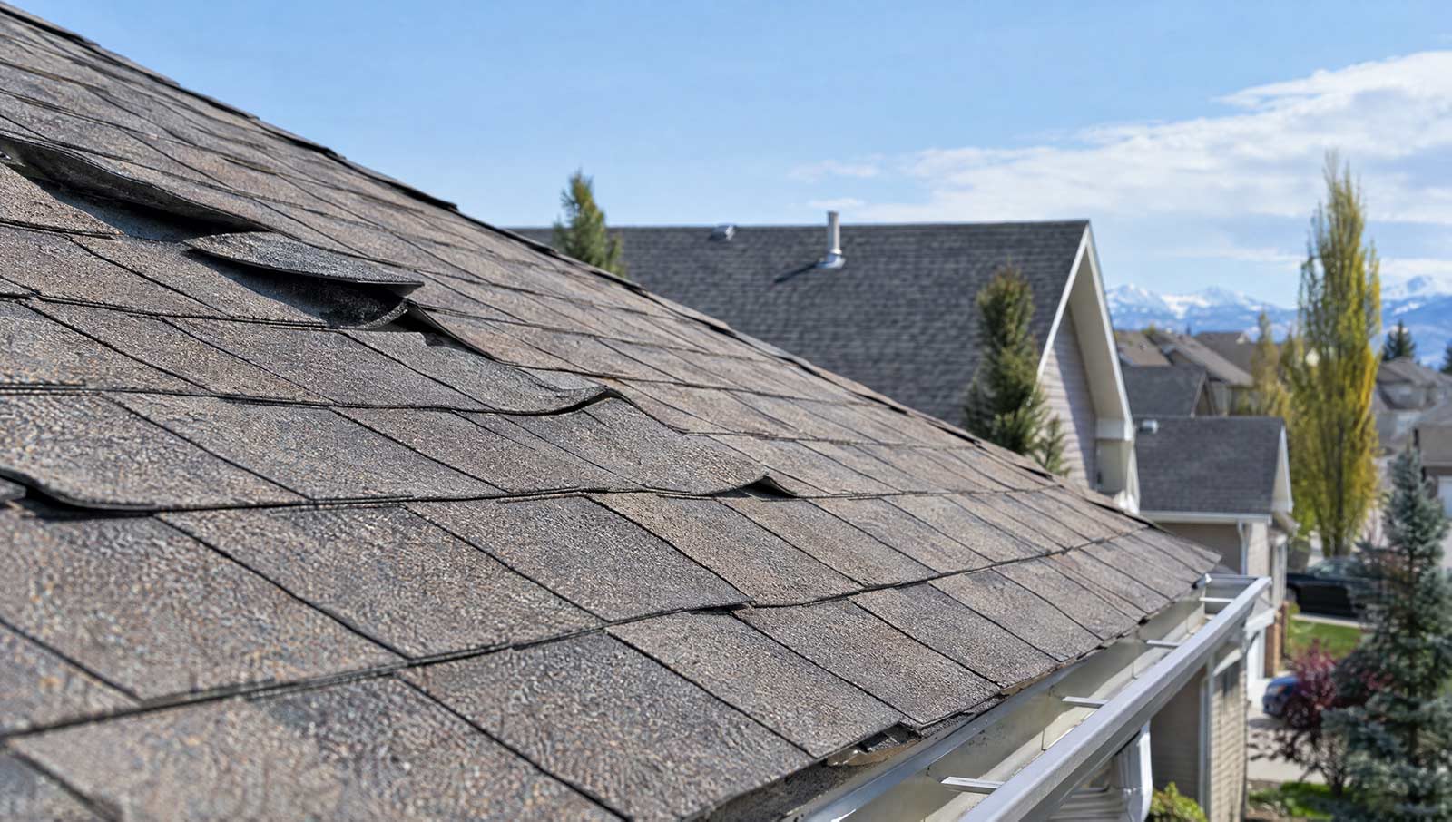 Curling asphalt shingles on an Alberta home