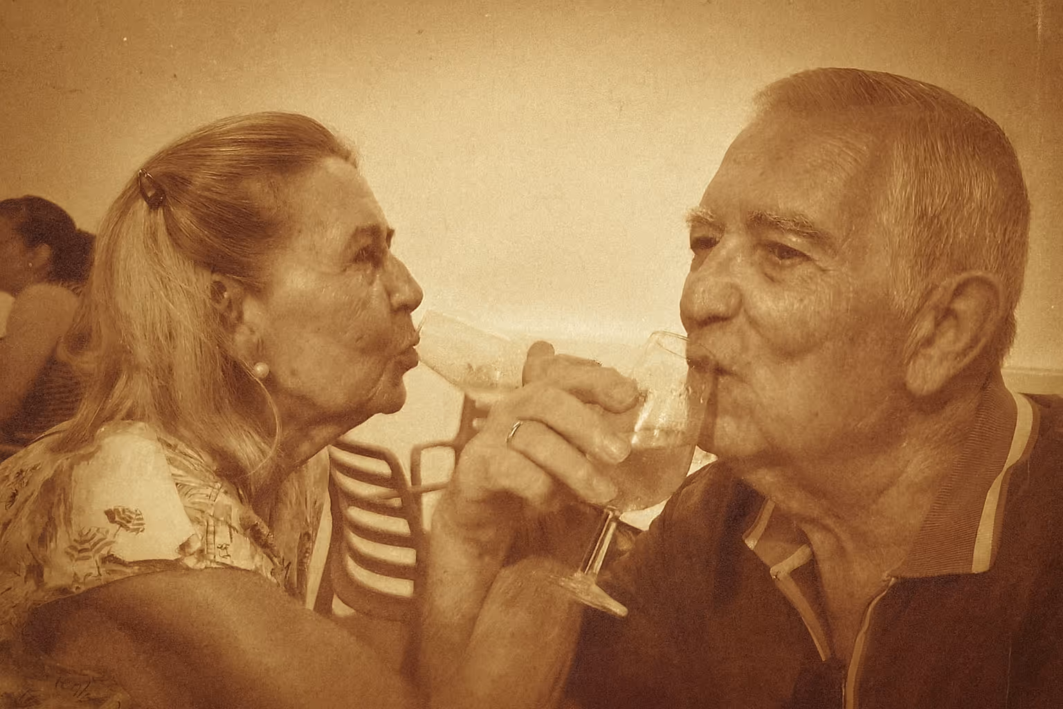 Pareja mayor brindando con copas de vino mientras se miran y sonríen en un ambiente relajado.