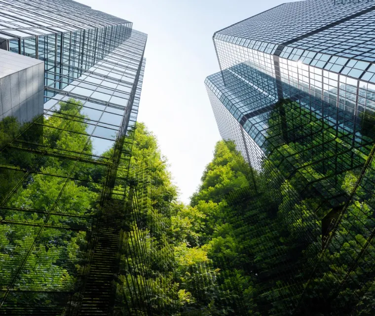 Gebäudereinigung & Facility Services