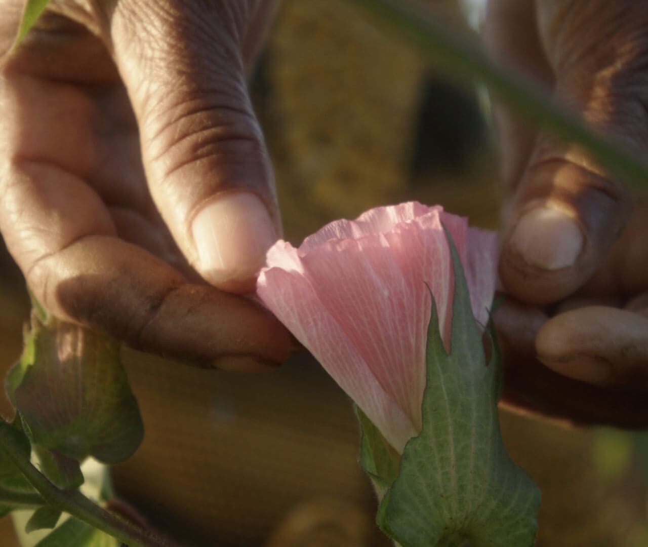 Personnalisation textile éco-responsable : les bonnes pratiques