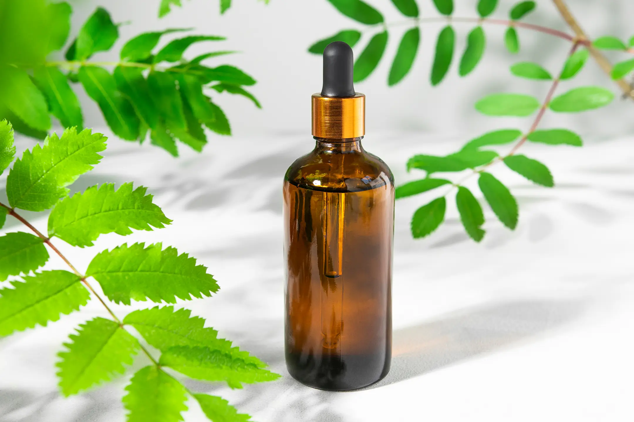 Personal Care & Home Care