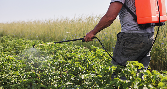 Farmer with a sprayer