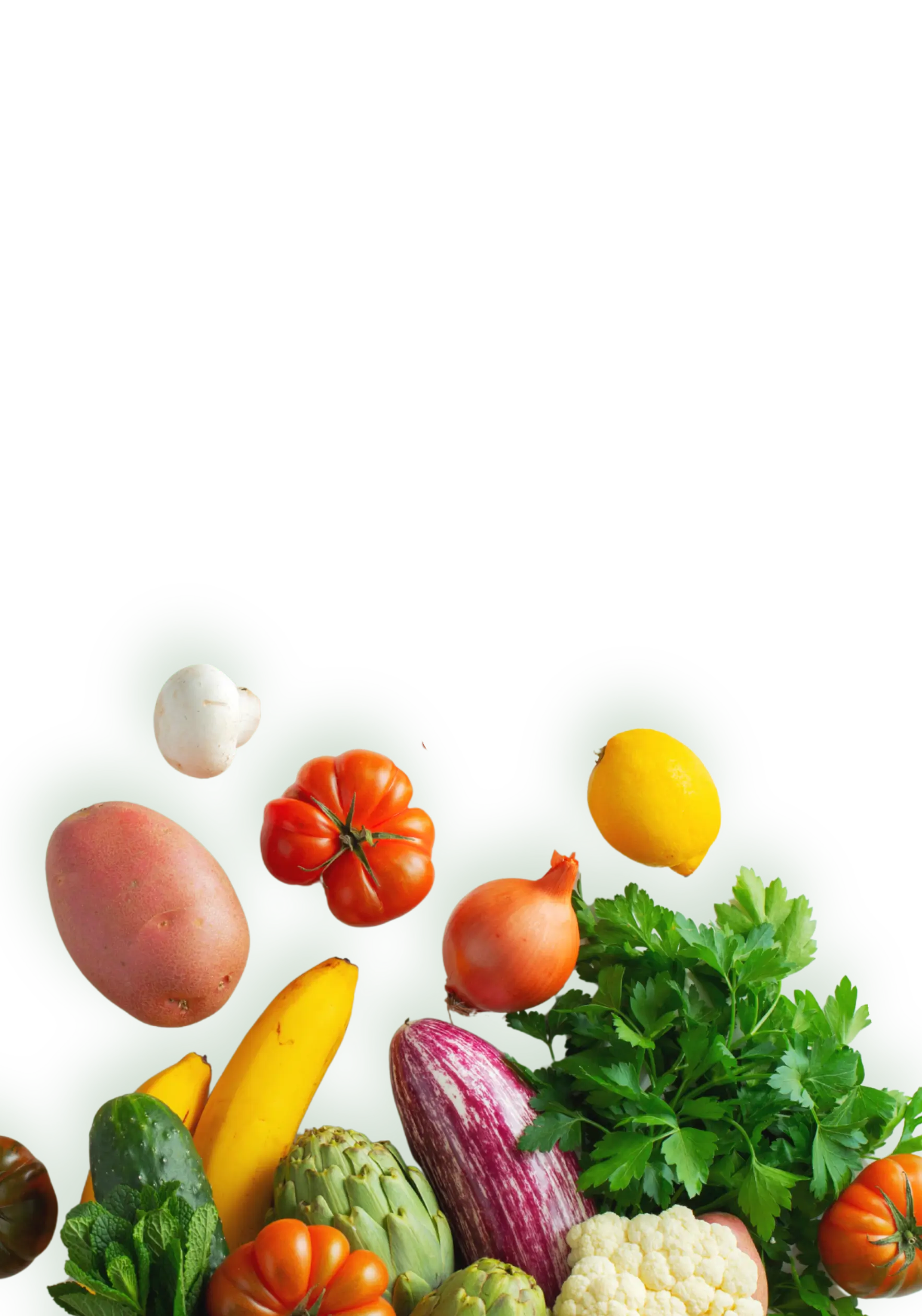 Crop Sciene foreground