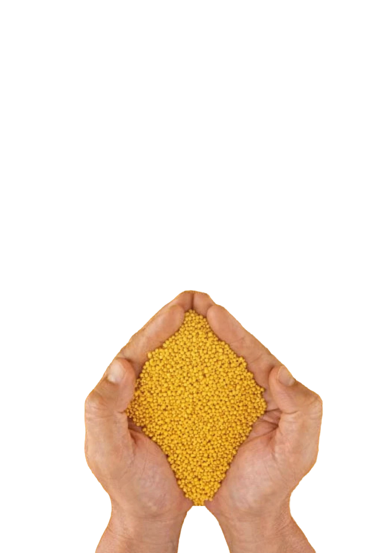 Two hands foreground