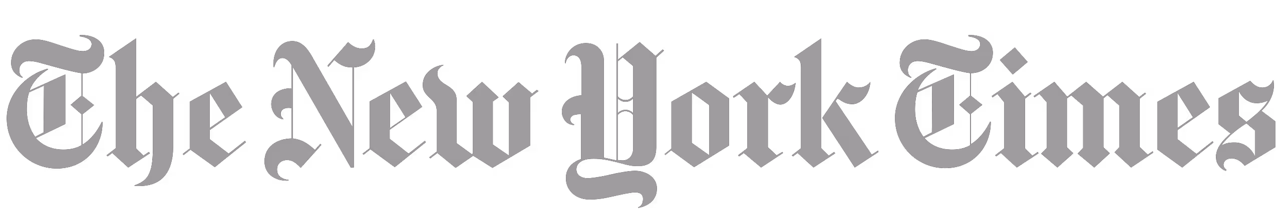 The Progrm The New York Times