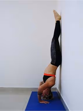 crossfit hspu tutorial