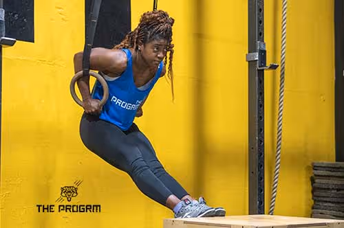 what muscles do dips work