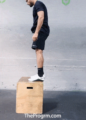 box jump rebound
