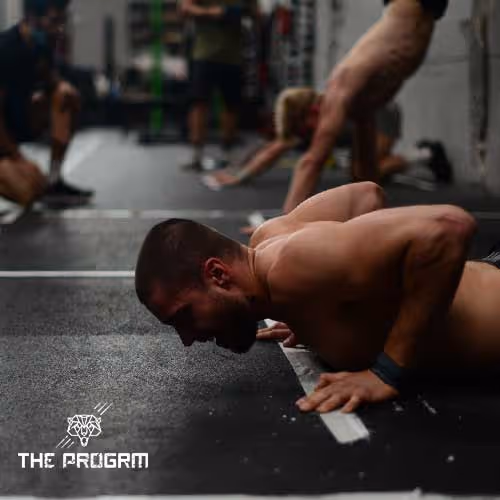 wall walks in crossft