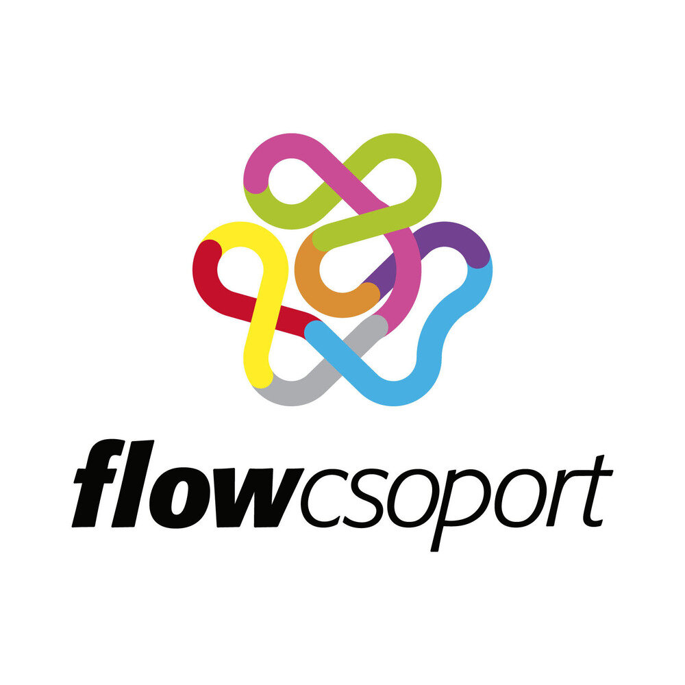 A Flow Csoport színes, összefonódó vonalakból álló logója