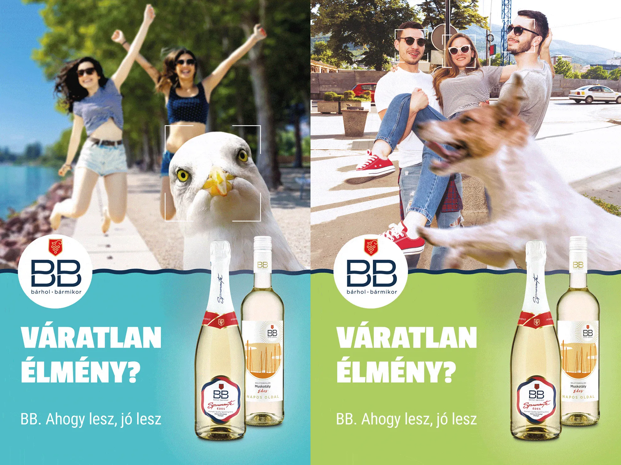 A BB „Váratlan élmény?” kampány két plakátja: sirály és kutya „photobombolja” a fiatalok fotóját
