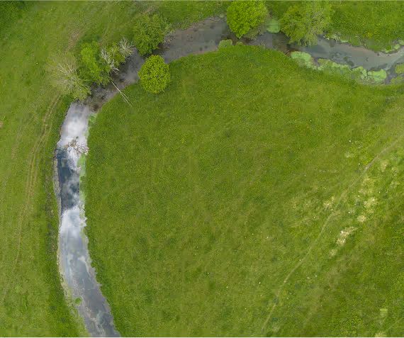 A green field with a stream running through it.