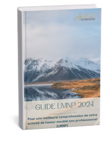 A guide to LMP 2024 is shown in a picture.