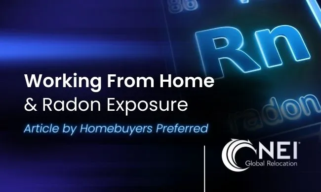  NEI Spotlight on Homebuyers Preferred