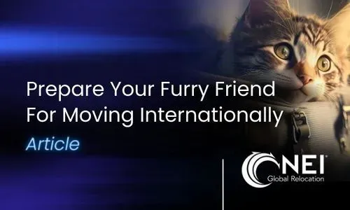 Five Tips Before Taking Your Furry Friends on International Moves