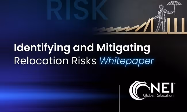 Identifying and Mitigating Relocation Risks