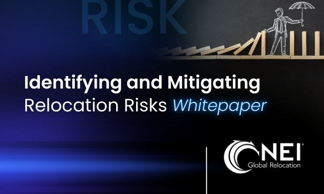 Identifying and Mitigating Relocation Risks