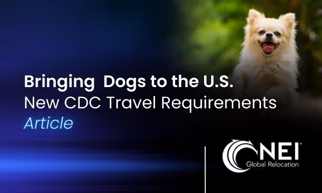Bringing Dogs to the U.S.: Updated August 2024 CDC Travel Requirements Explained