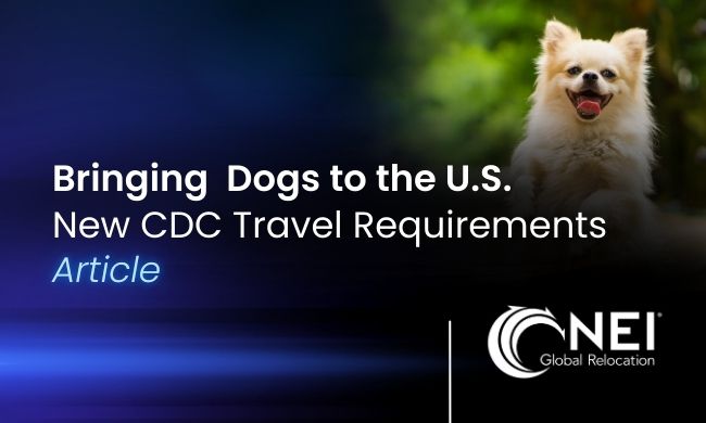 Bringing Dogs to the U.S.: Updated August 2024 CDC Travel Requirements Explained