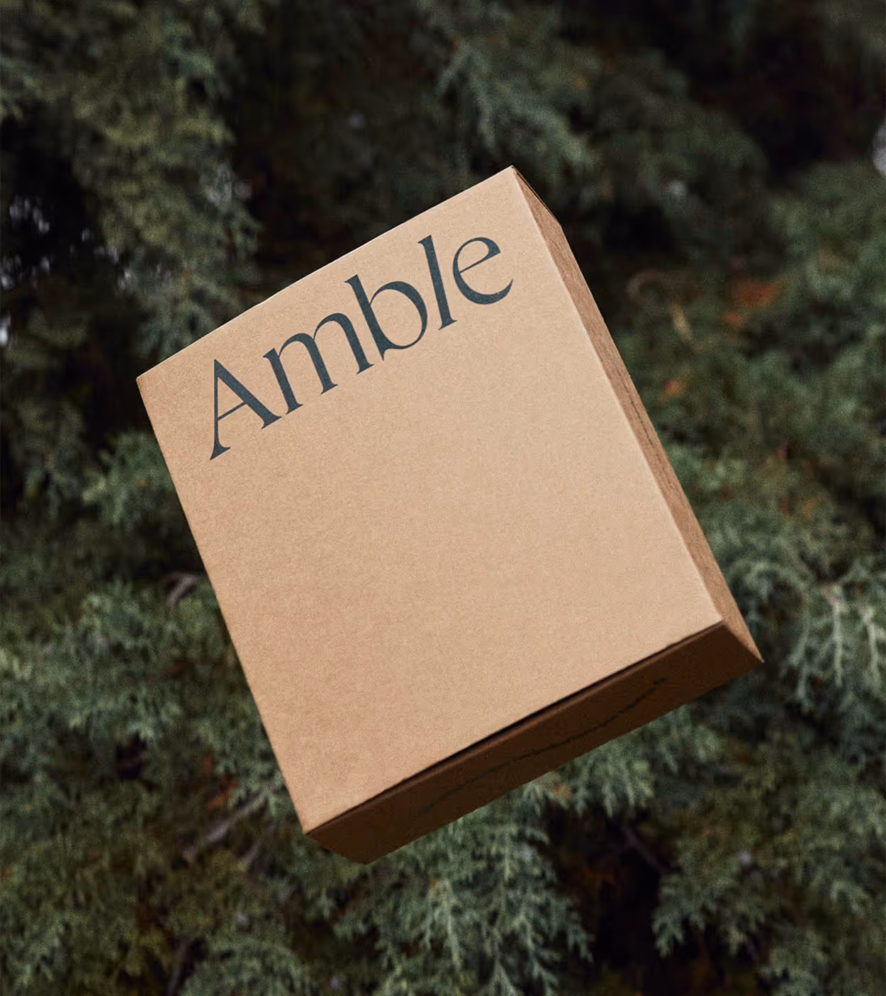 Brown cardboard box with the word 'Amble' printed on it, placed against a background of green foliage.