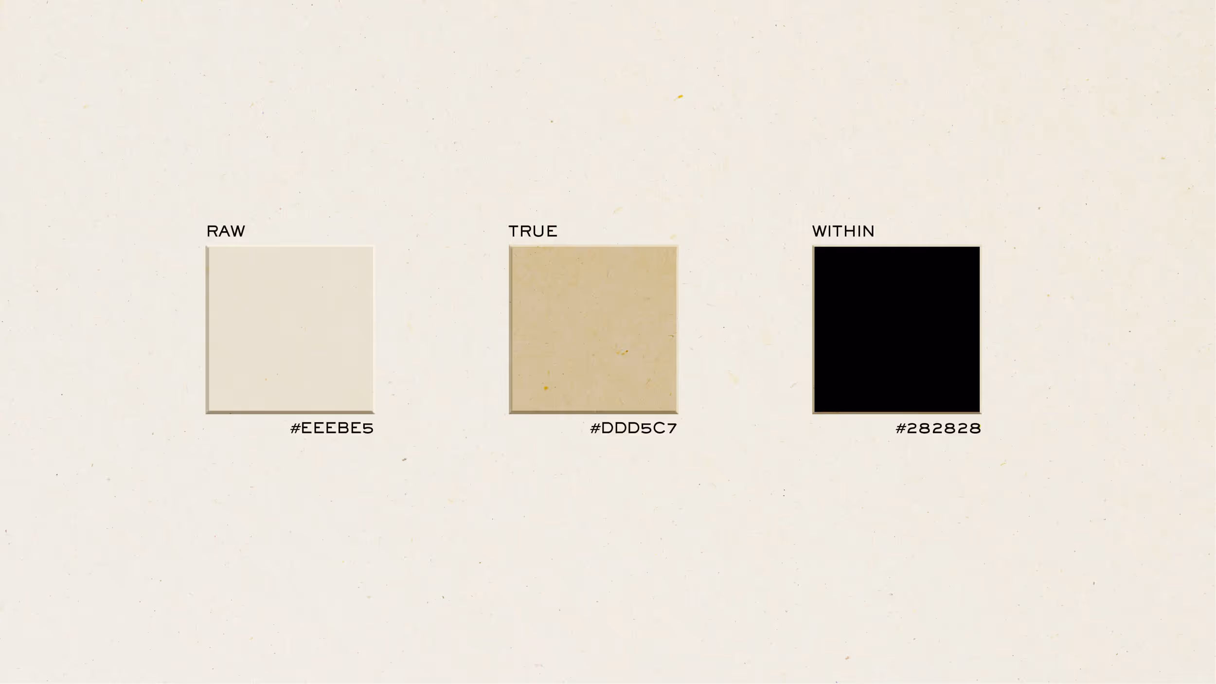 Three color swatches labeled RAW (#EEEBE5), TRUE (#DDD5C7), and WITHIN (#282828) on a beige speckled background.