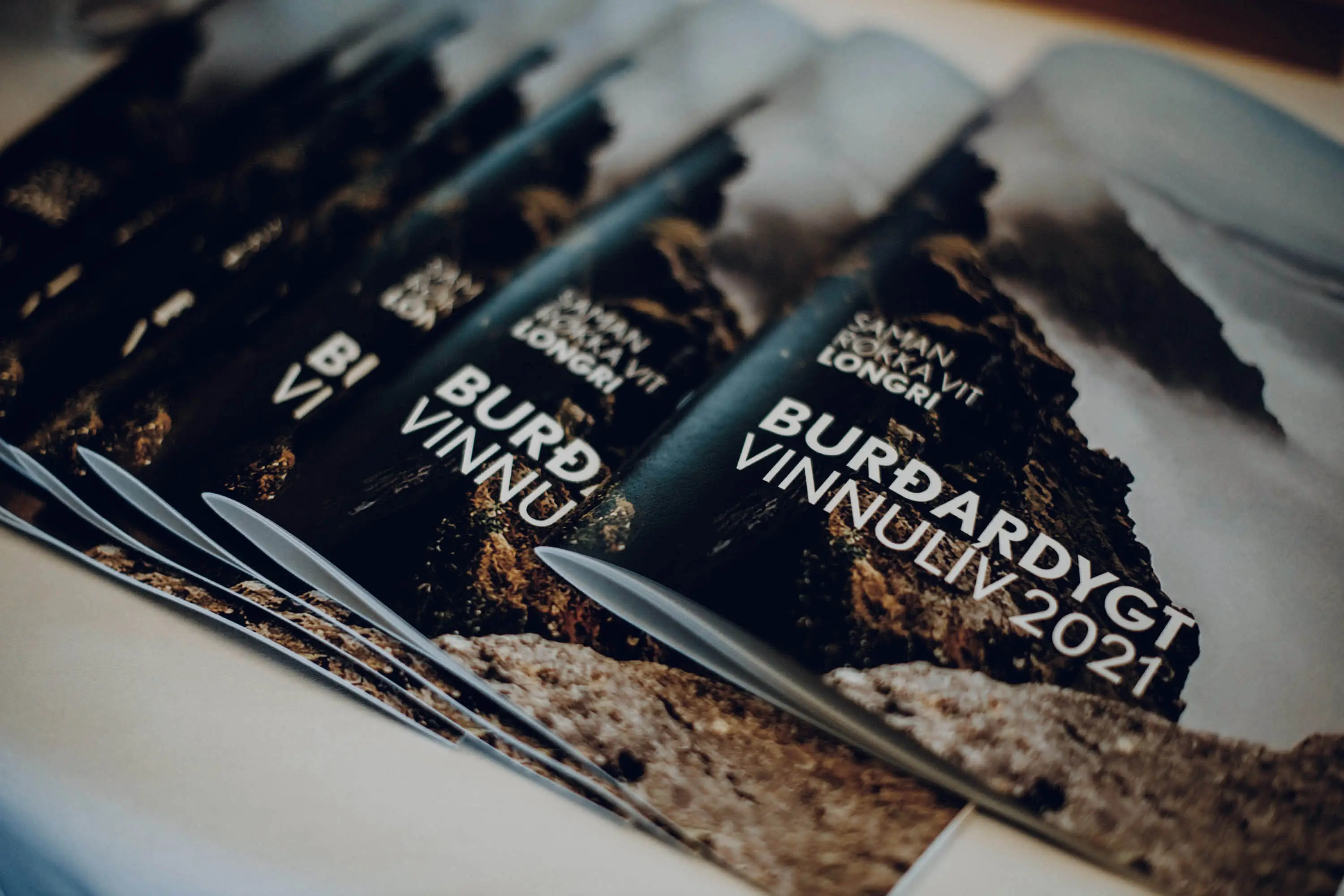 Burðardygt vinnulív