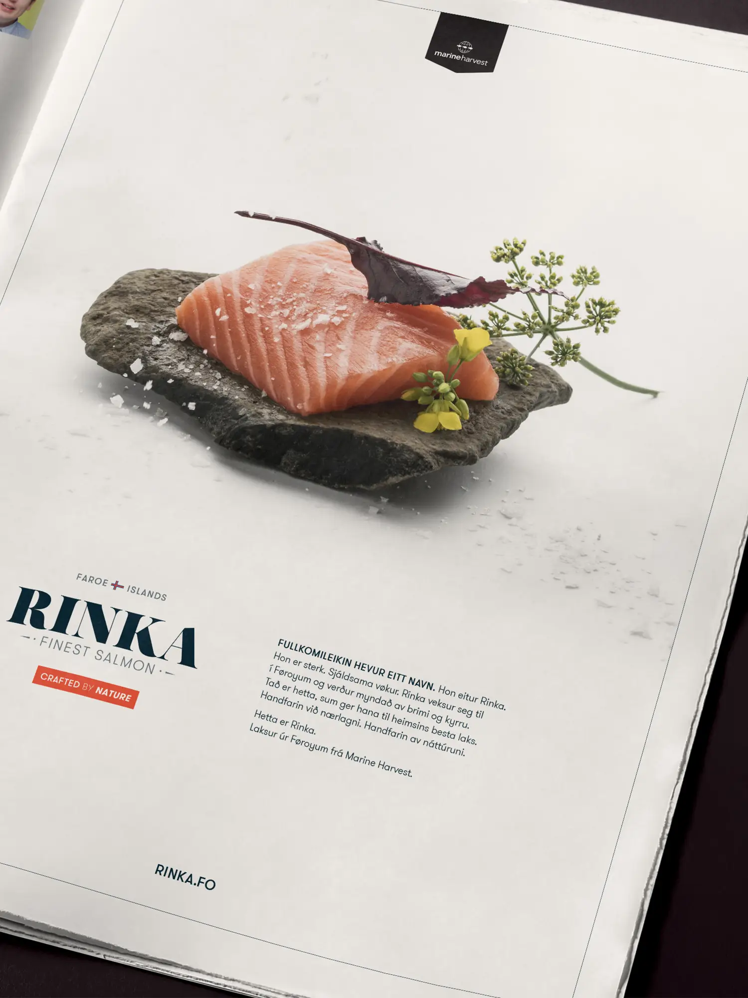 Føroysk blaðlýsing ið vísir á laksin