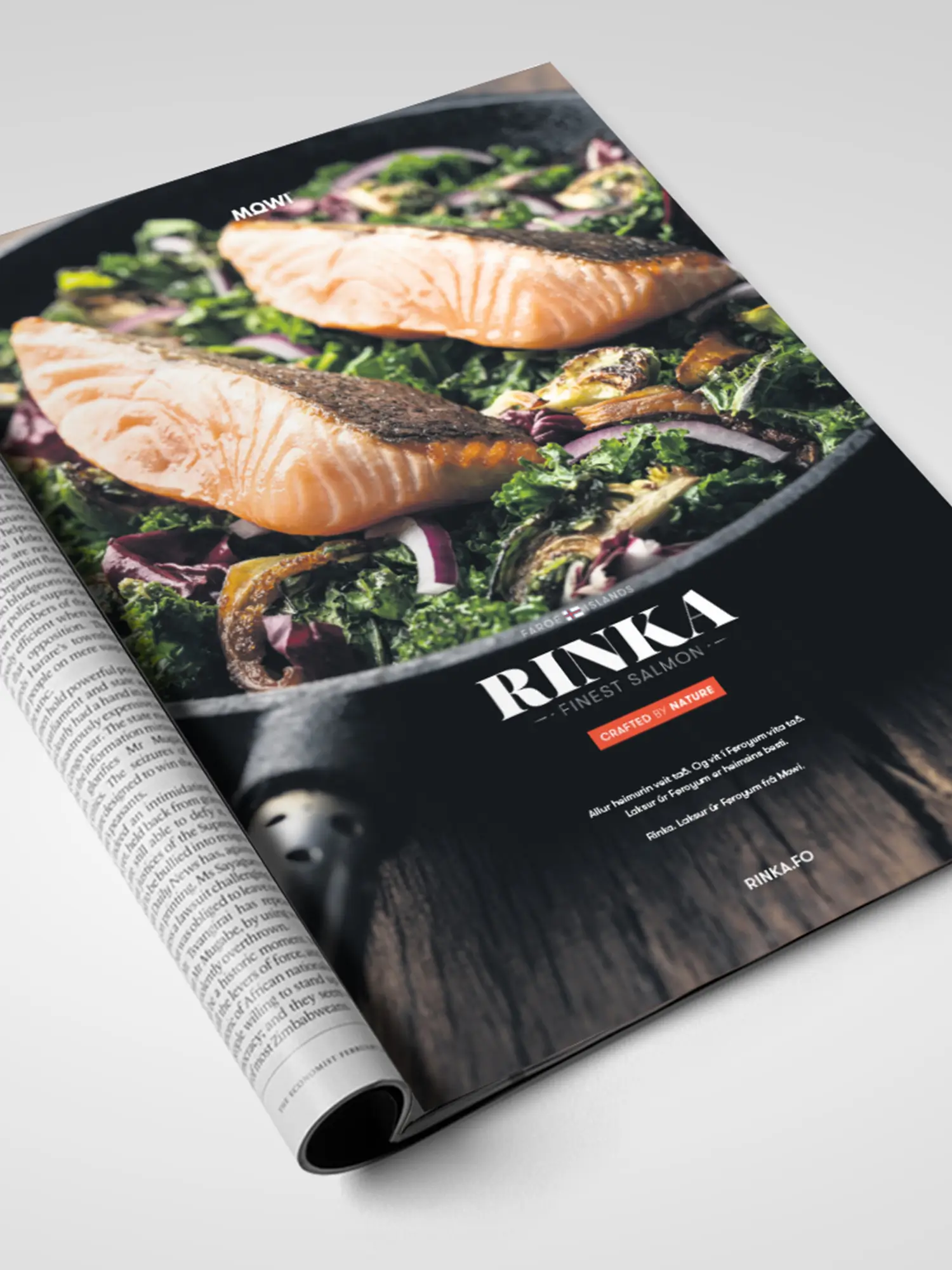 Blaðlýsing við laksi