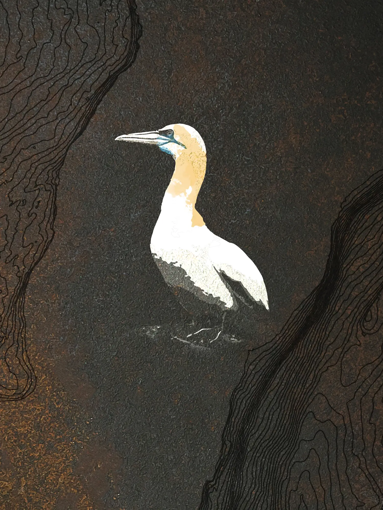 Tekning av súlu til ramsar bygdaskelti