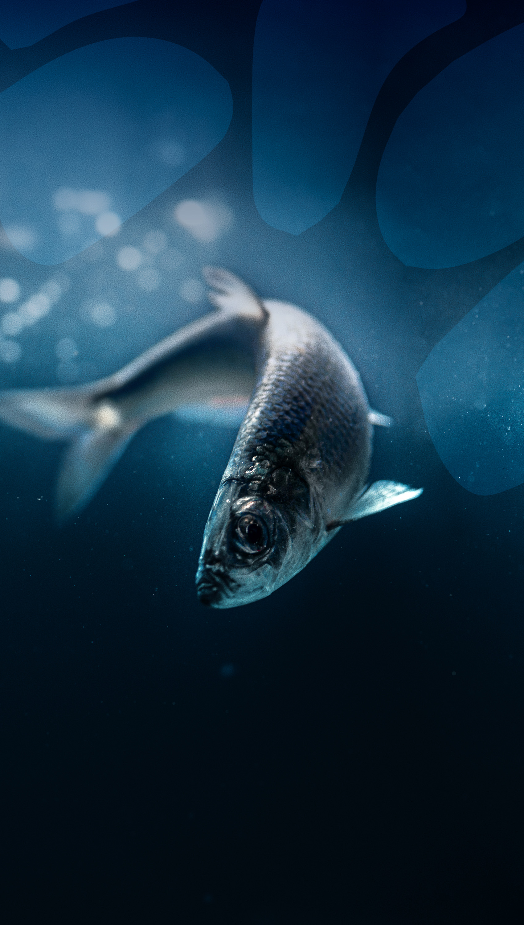 ESG-fragreiding og kunningaratak