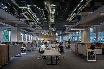Modern office interior with two people working at a long table under illuminated ceiling panels displaying abstract line designs.