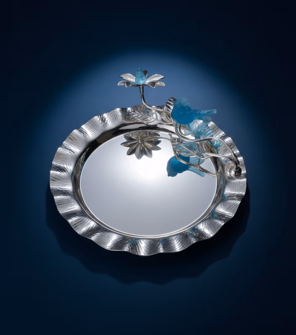 image of a display case in a jewelry store