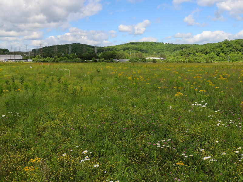 License to Build: Progress on Hermes and the ETU Series