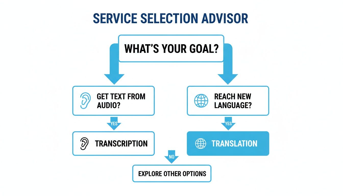 Flowchart illustrating the choice between transcription (audio to text) and translation (new language).