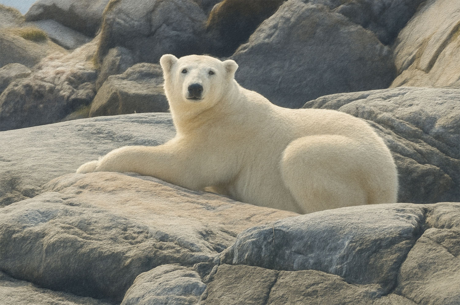 Houses beside the sea
