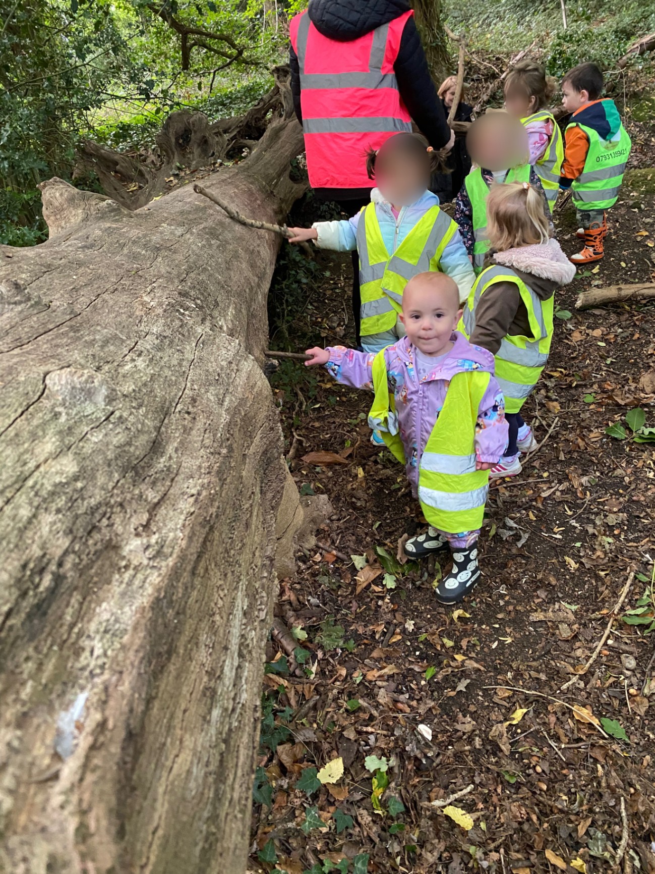 Preschool children on a forest school walk at Woodlands Preschool Hemel