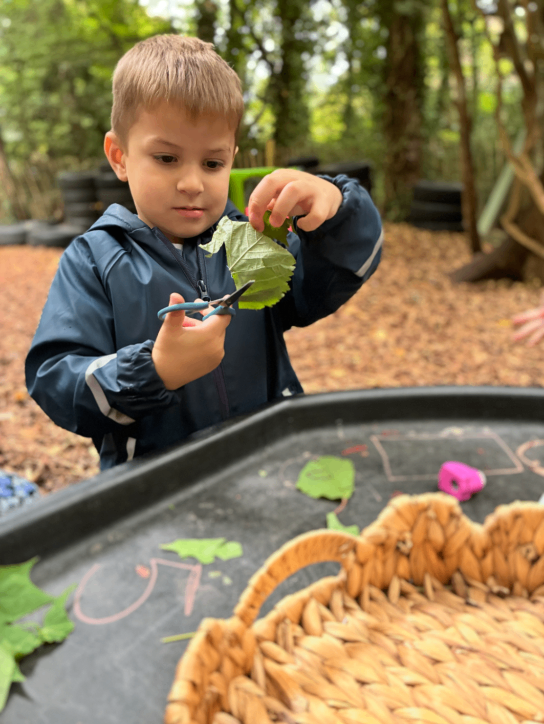 A young child cutting a green leaf outdoors