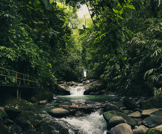 A lush green forest with a flowing river cascading over rocks and a small waterfall in the background.