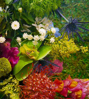Close-up of a colorful mixed bouquet including white, yellow, purple, and red flowers with green foliage.