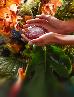 Hands holding a shiny, translucent red oval stone surrounded by vibrant tropical plants and orange flowers.