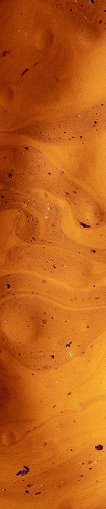 Close-up of swirling coffee crema with small bubbles.