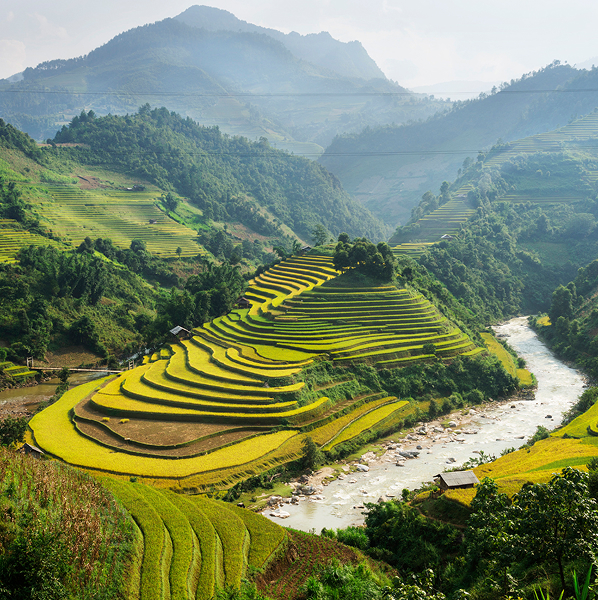Terraced rice fields along a river in a mountainous landscape under a hazy sky.