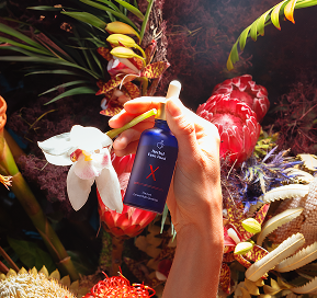 Hand holding a blue spray bottle among vibrant tropical flowers and greenery.